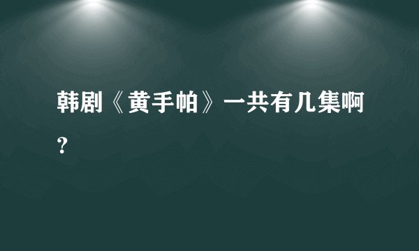 韩剧《黄手帕》一共有几集啊？
