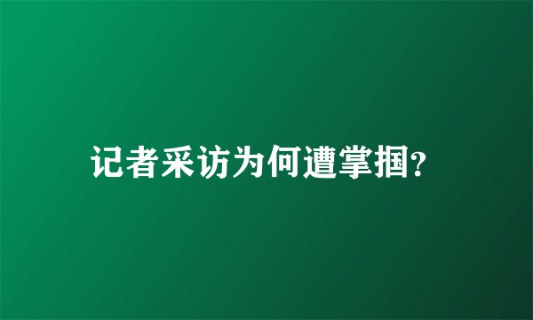 记者采访为何遭掌掴?