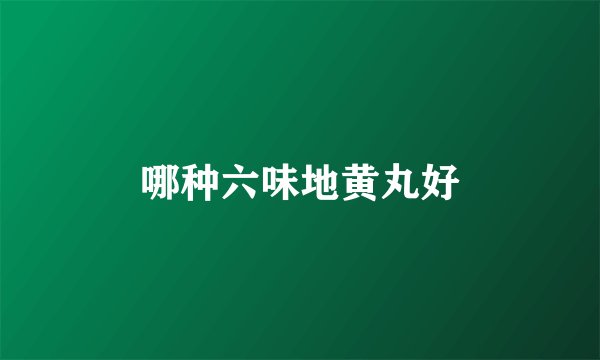 哪种六味地黄丸好