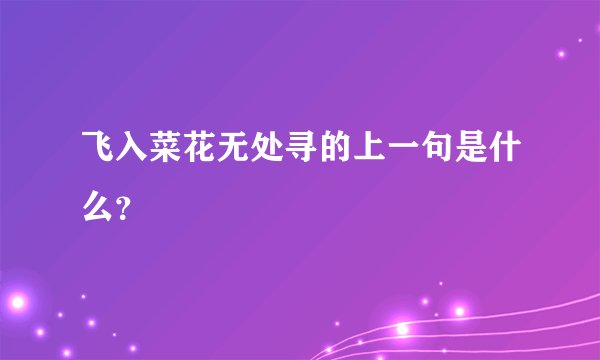 飞入菜花无处寻的上一句是什么?