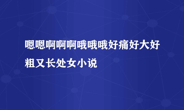 嗯嗯啊啊啊哦哦哦好痛好大好粗又长处女小说