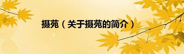 摄苑（关于摄苑的简介）