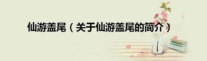 仙游盖尾（关于仙游盖尾的简介）