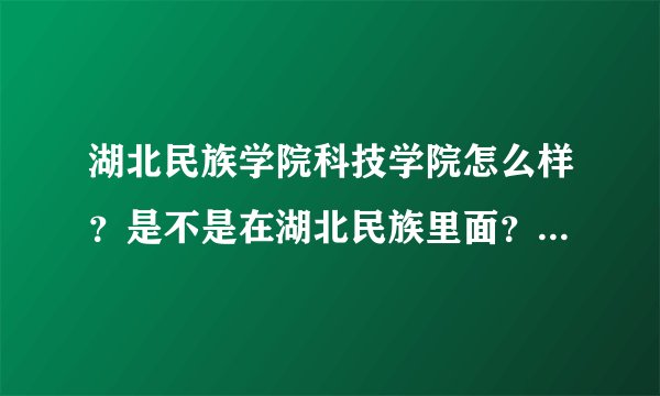 湖北民族学院科技学院怎么样?是不是在湖北民族里面?求急~~