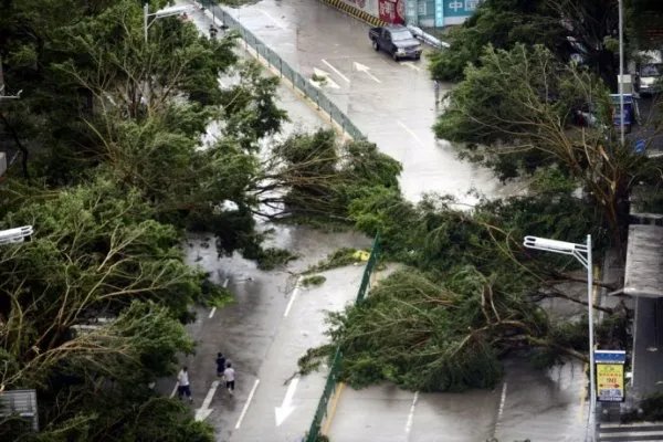 今年的2号台风即将生成,台风的形成都需要哪些条件?