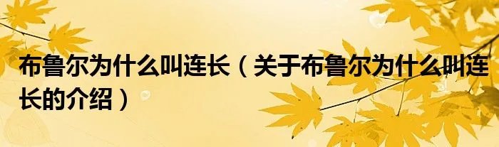 布鲁尔为什么叫连长(关于布鲁尔为什么叫连长的介绍)