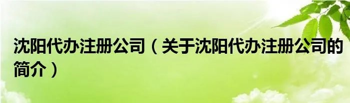 沈阳代办注册公司（关于沈阳代办注册公司的简介）