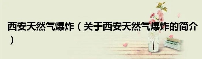 西安天然气爆炸（关于西安天然气爆炸的简介）