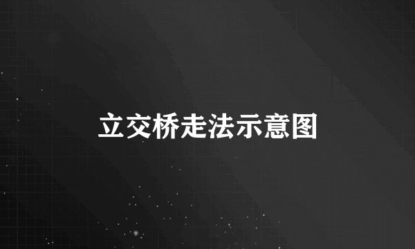 立交桥走法示意图