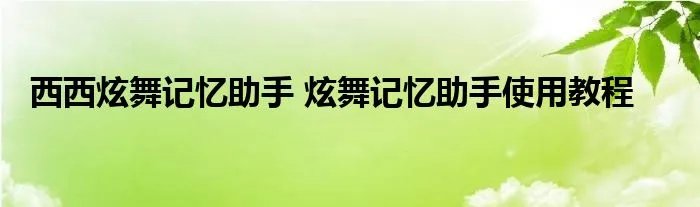西西炫舞记忆助手 炫舞记忆助手使用教程