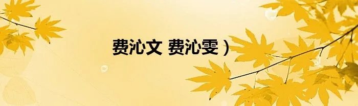 费沁文 费沁雯)
