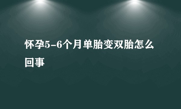怀孕5-6个月单胎变双胎怎么回事