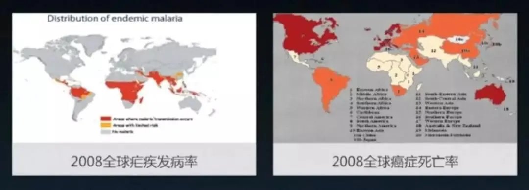 “疟原虫抗癌”真的靠谱吗?