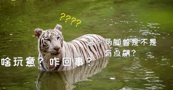北京野生动物园有游客下车冲向虎群一事引发关注,该游客到底有何目的?