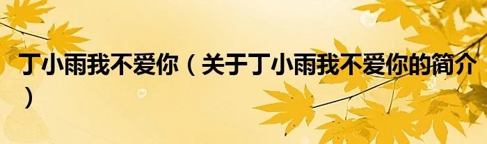 丁小雨我不爱你（关于丁小雨我不爱你的简介）