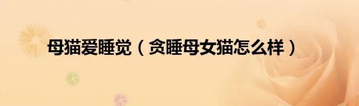母猫爱睡觉(贪睡母女猫怎么样)