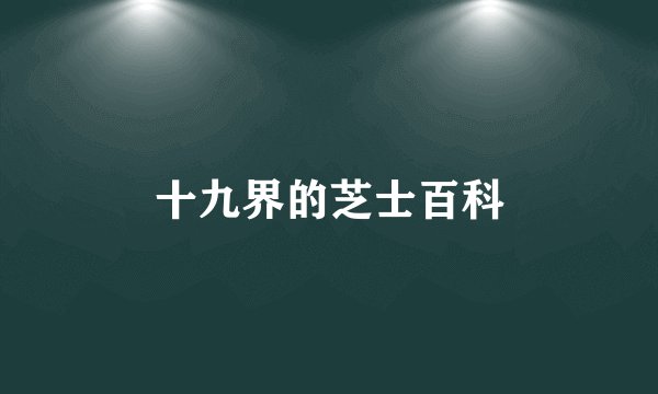十九界的芝士百科
