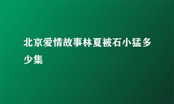 北京爱情故事林夏被石小猛多少集