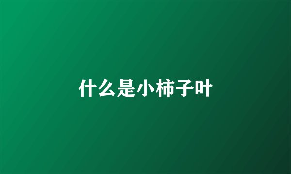 什么是小柿子叶