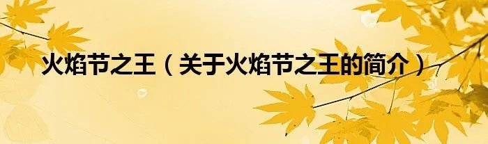 火焰节之王(关于火焰节之王的简介)