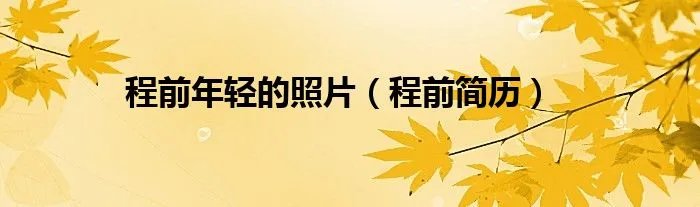 程前年轻的照片（程前简历）