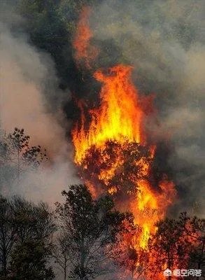 拥有悠久历史的沈阳棋盘山着火了,这是不是全人类的损失?