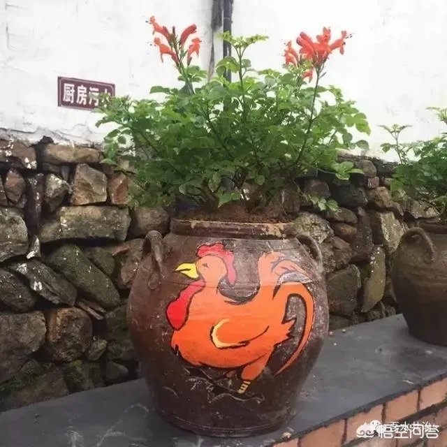 农村的生活垃圾怎么变废为宝?