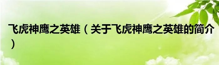 飞虎神鹰之英雄（关于飞虎神鹰之英雄的简介）