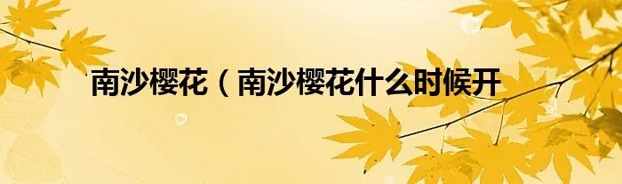 南沙樱花(南沙樱花什么时候开