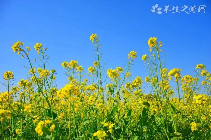 宝宝边吃奶边哭是什么问题