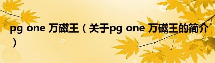 pg one 万磁王（关于pg one 万磁王的简介）