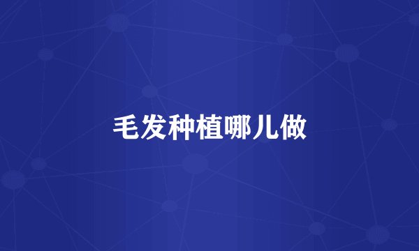 毛发种植哪儿做
