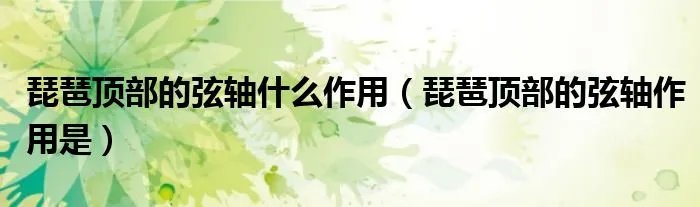 琵琶顶部的弦轴什么作用（琵琶顶部的弦轴作用是）