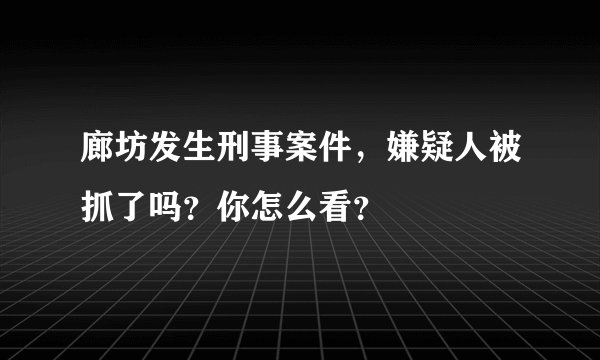 廊坊发生刑事案件，嫌疑人被抓了吗？你怎么看？