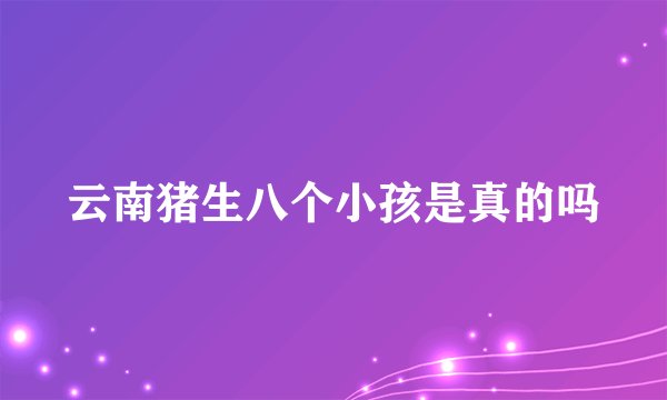 云南猪生八个小孩是真的吗