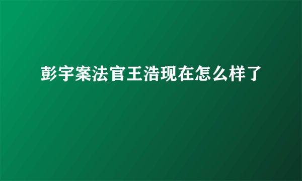 彭宇案法官王浩现在怎么样了