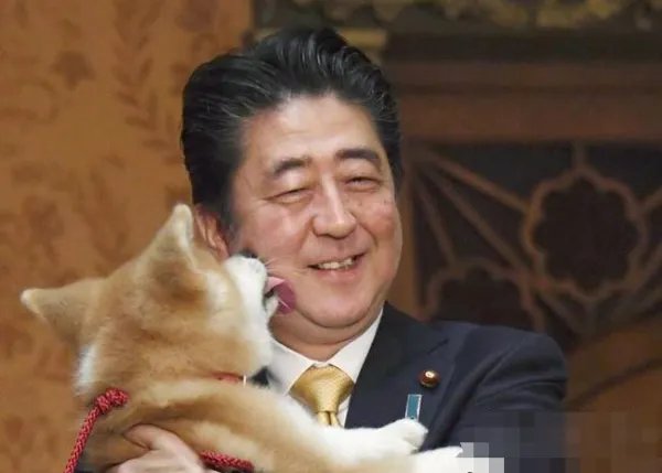 安倍赠送秋田犬给谁?
