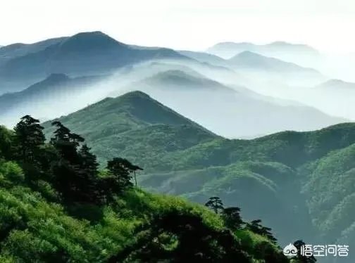 杭州有棵2015岁古柏,被好多人认做干爹,你怎么看?
