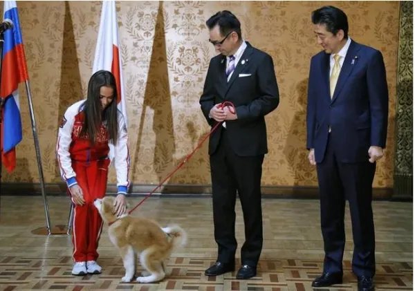 安倍赠送秋田犬给谁?