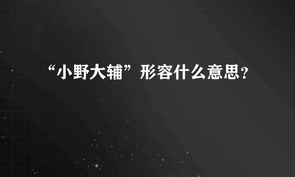 “小野大辅”形容什么意思？