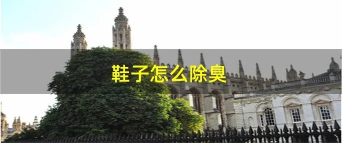 鞋子怎么除臭