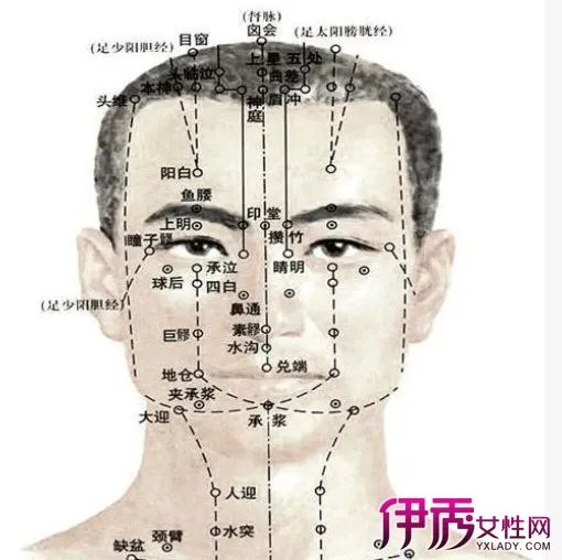 脸部经络图解大图