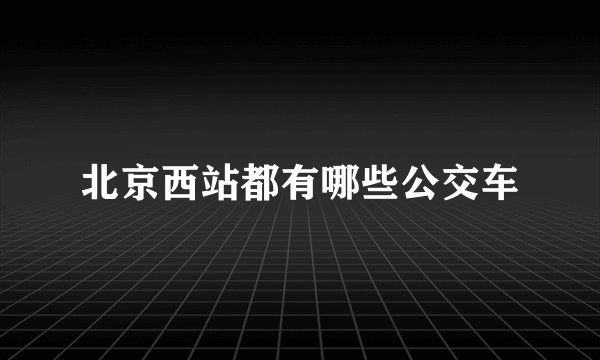 北京西站都有哪些公交车