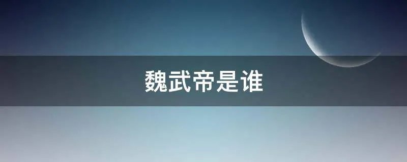 魏武帝是谁