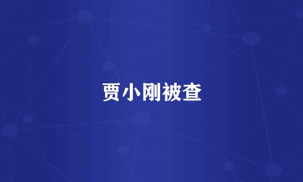 贾小刚被查