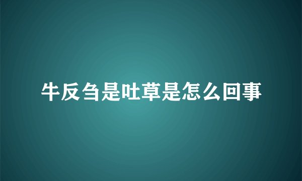 牛反刍是吐草是怎么回事