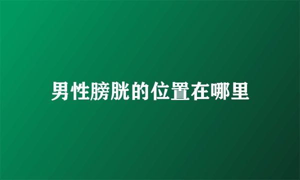 男性膀胱的位置在哪里