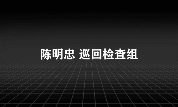 陈明忠 巡回检查组
