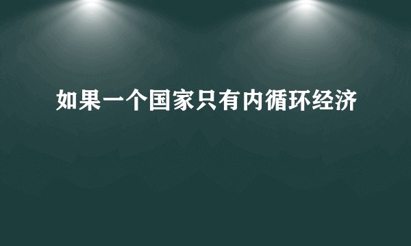如果一个国家只有内循环经济