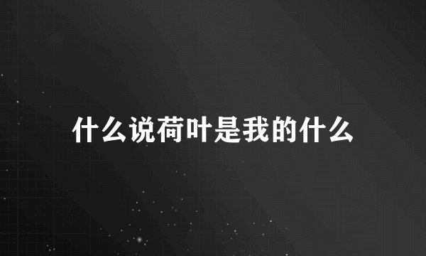 什么说荷叶是我的什么